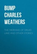 The Mermaid of Druid Lake and Other Stories (Charles Bump)