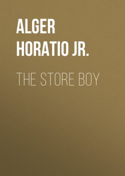 Книга "The Store Boy" – Horatio Alger