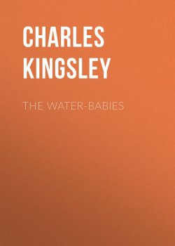 Книга "The Water-Babies" – Charles Kingsley