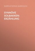 Synnöve Solbakken: Erzählung (Bjørnstjerne Bjørnson)