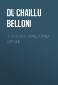 In African Forest and Jungle (Paul Du Chaillu)