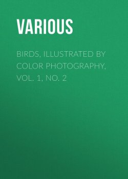 Книга "Birds, Illustrated by Color Photography, Vol. 1, No. 2" – Various