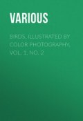 Birds, Illustrated by Color Photography, Vol. 1, No. 2 (Various)