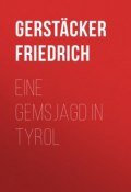 Eine Gemsjagd in Tyrol (Friedrich Gerstäcker)