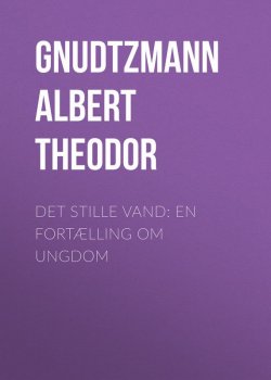 Книга "Det stille Vand: En Fortælling om Ungdom" – Albert Gnudtzmann