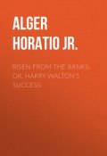 Risen from the Ranks; Or, Harry Walton's Success (Horatio Alger)