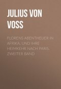 Florens Abentheuer in Afrika, und ihre Heimkehr nach Paris. Zweiter Band (Julius Voss)