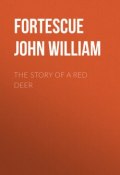 The Story of a Red Deer (John Fortescue)
