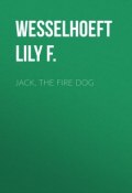 Jack, the Fire Dog (Lily Wesselhoeft)