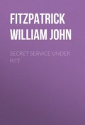 Secret Service Under Pitt (William Fitzpatrick)