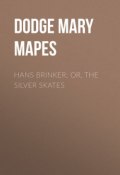 Hans Brinker; Or, The Silver Skates (Mary Dodge)