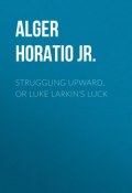Struggling Upward, or Luke Larkin's Luck (Horatio Alger)