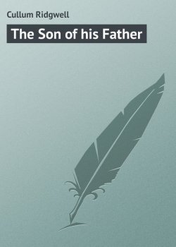 Книга "The Son of his Father" – Ridgwell Cullum