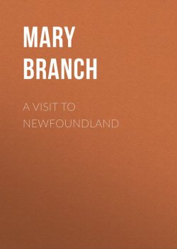 Книга "A Visit to Newfoundland" – Mary Branch