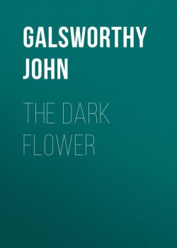 Книга "The Dark Flower" – Джон Голсуорси, John Galsworthy