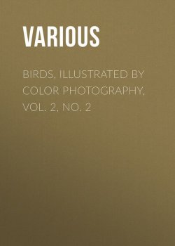 Книга "Birds, Illustrated by Color Photography, Vol. 2, No. 2" – Various