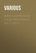 Birds, Illustrated by Color Photography, Vol. 2, No. 2 (Various)