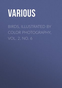 Книга "Birds, Illustrated by Color Photography, Vol. 2, No. 6" – Various