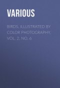 Birds, Illustrated by Color Photography, Vol. 2, No. 6 (Various)
