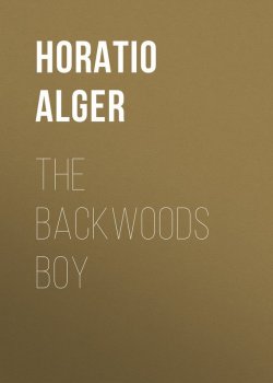 Книга "The Backwoods Boy" – Horatio Alger