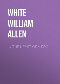 Книга "In the Heart of a Fool" – William White