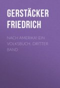 Nach Amerika! Ein Volksbuch. Dritter Band (Friedrich Gerstäcker)