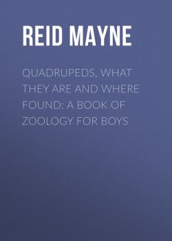 Книга "Quadrupeds, What They Are and Where Found: A Book of Zoology for Boys" – Томас Майн Рид