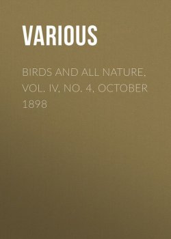 Книга "Birds and all Nature, Vol. IV, No. 4, October 1898" – Various
