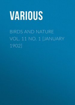 Книга "Birds and Nature Vol. 11 No. 1 [January 1902]" – Various