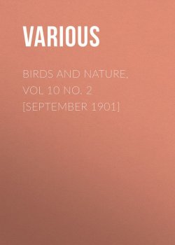 Книга "Birds and Nature, Vol 10 No. 2 [September 1901]" – Various