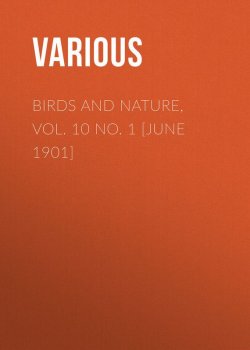 Книга "Birds and Nature, Vol. 10 No. 1 [June 1901]" – Various