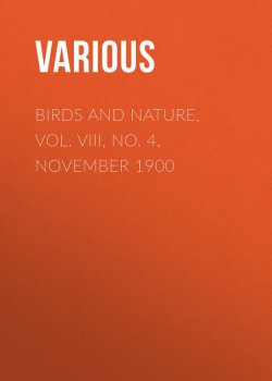 Книга "Birds and Nature, Vol. VIII, No. 4, November 1900" – Various