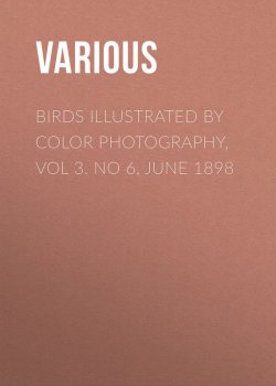Книга "Birds Illustrated by Color Photography, Vol 3. No 6, June 1898" – Various