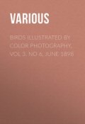 Birds Illustrated by Color Photography, Vol 3. No 6, June 1898 (Various)