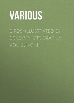 Книга "Birds, Illustrated by Color Photography, Vol. 2, No. 1" – Various