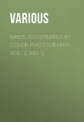 Birds, Illustrated by Color Photography, Vol. 2, No. 1 (Various)
