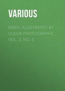 Книга "Birds, Illustrated by Color Photography, Vol. 2, No. 5" – Various