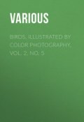 Birds, Illustrated by Color Photography, Vol. 2, No. 5 (Various)