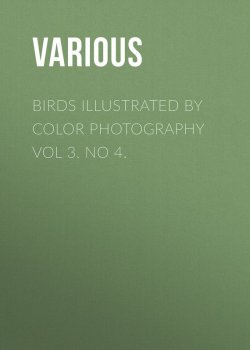 Книга "Birds Illustrated by Color Photography Vol 3. No 4." – Various