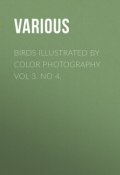 Birds Illustrated by Color Photography Vol 3. No 4. (Various)