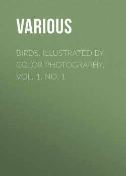 Книга "Birds, Illustrated by Color Photography, Vol. 1, No. 1" – Various