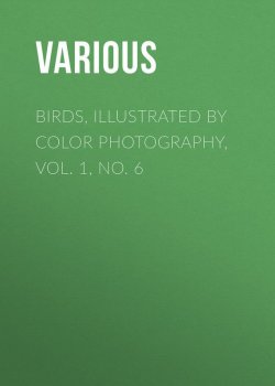 Книга "Birds, Illustrated by Color Photography, Vol. 1, No. 6" – Various