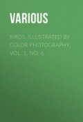 Birds, Illustrated by Color Photography, Vol. 1, No. 6 (Various)