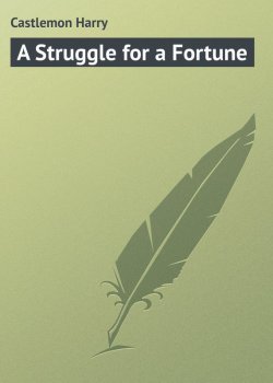 Книга "A Struggle for a Fortune" – Harry Castlemon