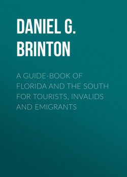 Книга "A Guide-Book of Florida and the South for Tourists, Invalids and Emigrants" – Daniel Brinton