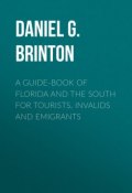 A Guide-Book of Florida and the South for Tourists, Invalids and Emigrants (Daniel Brinton)