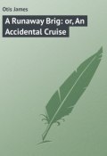 A Runaway Brig: or, An Accidental Cruise (James Otis)