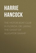 The Motor Boat Club in Florida: or, Laying the Ghost of Alligator Swamp (Harrie Hancock)