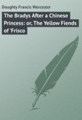 The Bradys After a Chinese Princess: or, The Yellow Fiends of 'Frisco (Francis Doughty)