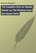 The Campfire Girls on Station Island: or, The Wireless from the Steam Yacht (Margaret Penrose)